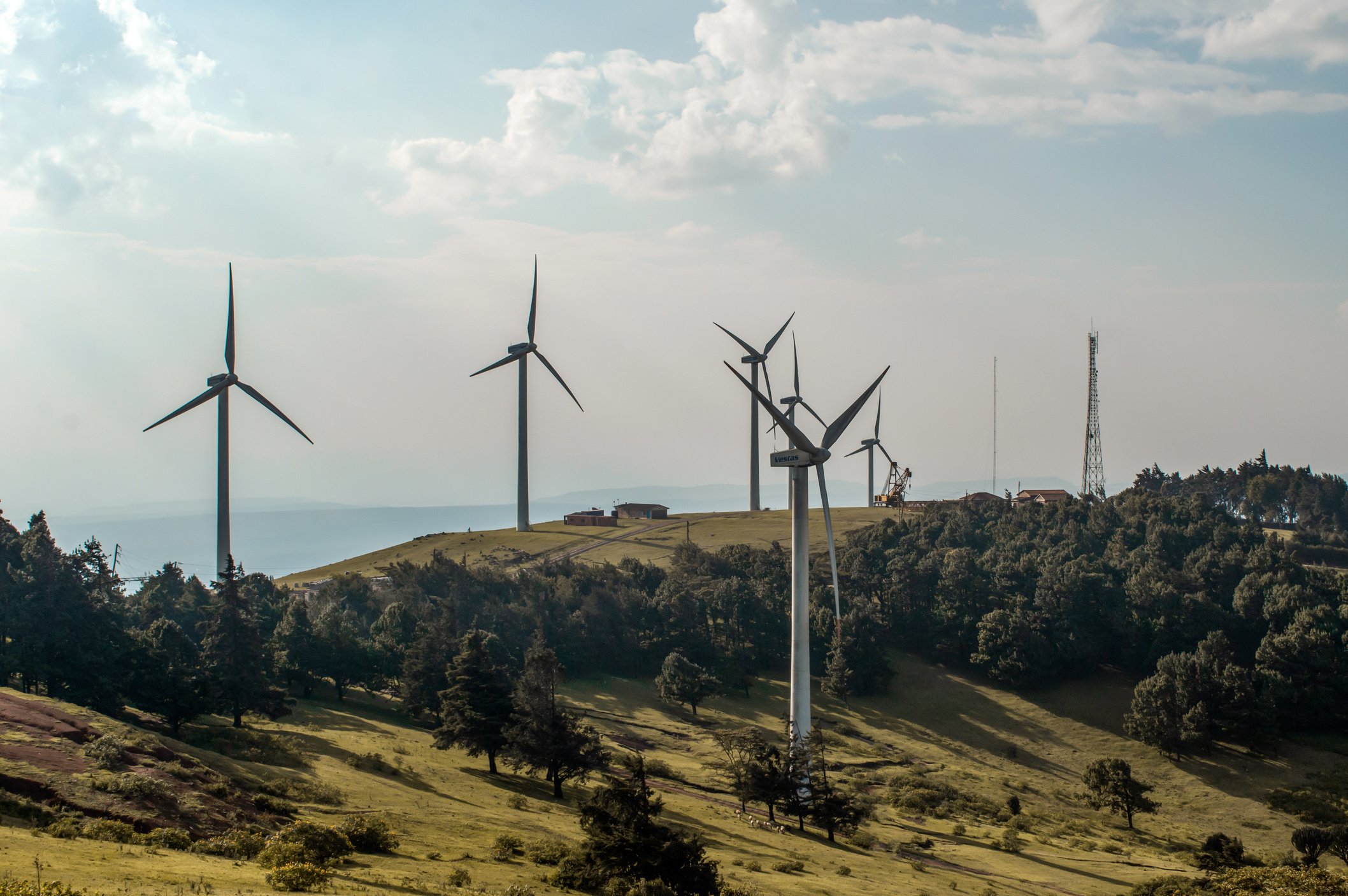 Wind Turbines on Green Grass Field Under White Cloudy Sky